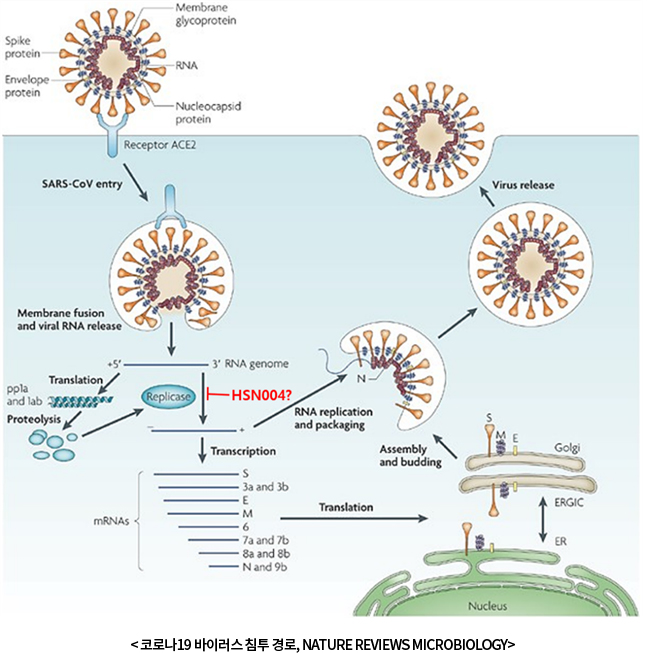 휴사이온 개발 항바이러스 후보물질 (HSN004C0)